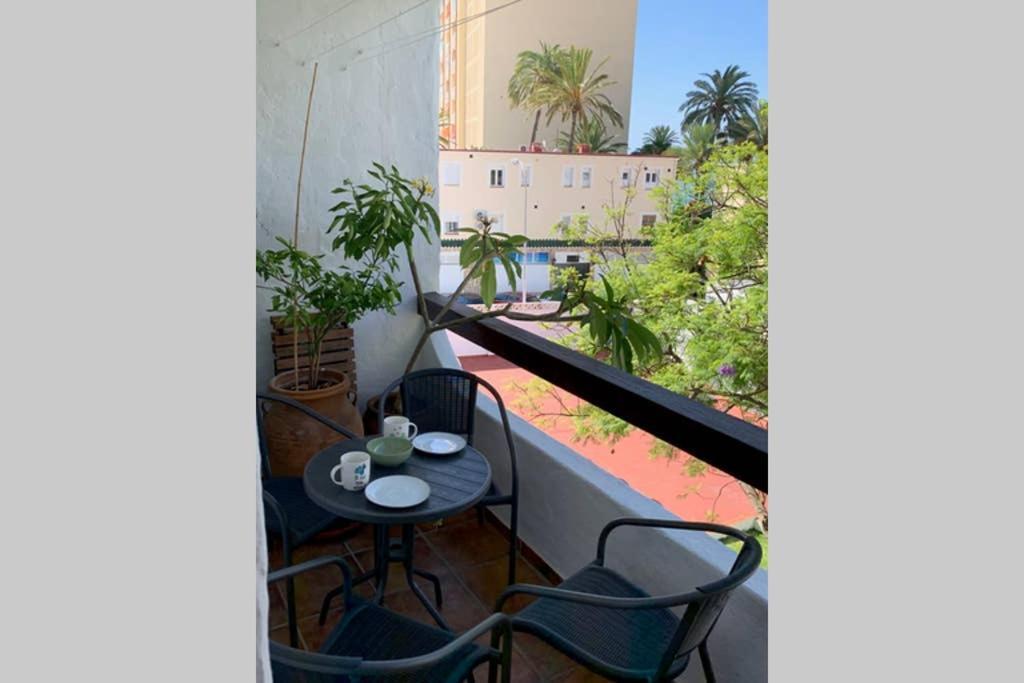 Pueblo Blanco Casa Del Loro Διαμέρισμα Τορρεμολίνος Εξωτερικό φωτογραφία